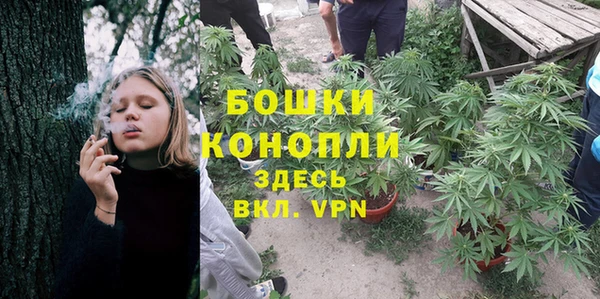 прущая мука Богородск