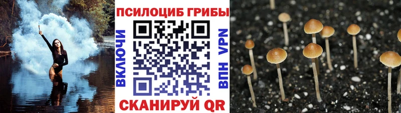 Галлюциногенные грибы MAGIC MUSHROOMS Купить Полесск